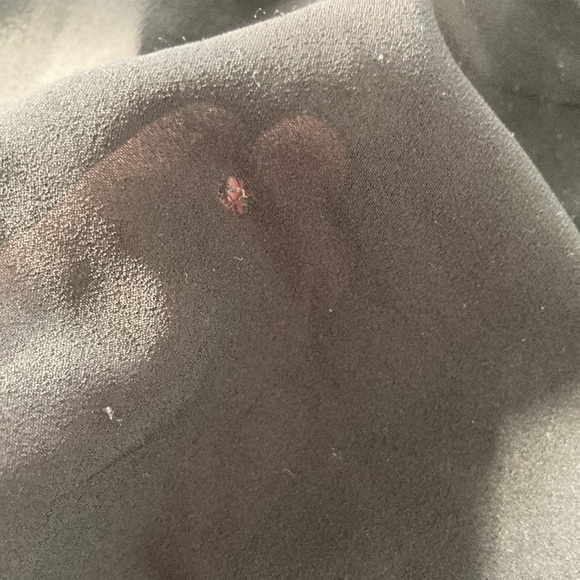 J. Crew sheer long sleeve button up - Picture 8 of 8